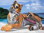 3d animal_genitalia balls beach big_balls big_penis erection feline feral fur hyper looking_at_viewer male mammal orange_fur penis pose presenting sabertooth seaside solo spread_legs spreading stripes tapiko tiger tongue tongue_out white_fur
Rating: Explicit
Score: 1
User: DSTakumiDerp
Date: March 03, 2014