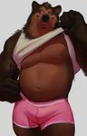 anthro belly black_nose boxer_briefs brown_body brown_countershading brown_fur bulge clothed clothing clothing_lift countershade_torso countershading fur gesture hand_gesture male multicolored_body multicolored_fur muscular muscular_male muscular_thighs navel nipples pink_boxer_briefs pink_clothing pink_nipples pink_underwear shirt shirt_lift simple_background smile solo tank_top thumbs_up topwear two_tone_body two_tone_fur underwear whiskers white_background white_clothing white_shirt white_tank_top white_topwear white_whiskers marshy_(artist) bear mammal 2022 absurd_res colored hi_res portrait three-quarter_portrait