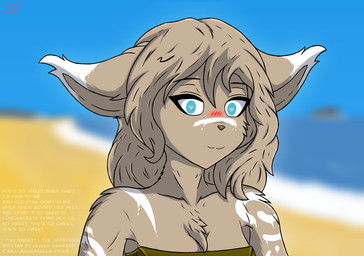 anthro beach blue_eyes blush bodypaint chest_tuft clothing ear_markings female fur heart_eyes heart_symbol markings neck_tuft seaside sky smile smile_at_viewer solo tribal tribal_markings tuft upper_body jordanos21 twokinds cathleen_keiser basitin humanoid mammal colored
