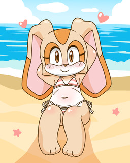 anthro beach bikini blush brown_eyes clothing dipstick_ears ear_markings feet female hands_behind_head heart_symbol loli looking_at_viewer multicolored_body multicolored_ears navel sitting smile solo swimwear two-piece_swimsuit two_tone_body young young_anthro young_female surjang sega sonic_the_hedgehog_(series) cream_the_rabbit lagomorph leporid mammal rabbit 4:5 absurd_res hi_res