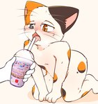 anthro beverage blush bodily_fluids drinking_straw drooling eating food food_fetish fur heterochromia humor kneeling licking male milkshake nude open_mouth orange_body orange_eyes orange_fur saliva shota solo suggestive suggestive_food sweat tan_body tan_fur tongue tongue_out whiskers young young_anthro young_male bubblecat grimace_shake mcdonald's bright_(bubblecat) domestic_cat felid feline felis mammal hi_res meme