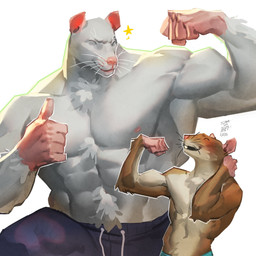 anthro blush brown_body brown_fur duo eyes_closed fur humanoid_hands male muscular muscular_male nipples open_mouth pink_nose size_difference white_body white_fur samus_sunset mammal murid murine rat rodent 1:1 2025 absurd_res hi_res