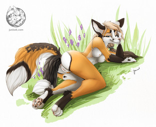 anal anal_penetration anthro blonde_hair blue_eyes breasts buttplug buttplug_in_ass buttplug_insertion buttplug_tail fake_tail female fur genitals grass hair looking_at_viewer object_in_ass orange_body orange_fur pawpads paws penetration plant plug_(sex_toy) plug_insertion sex_toy sex_toy_in_ass sex_toy_insertion smile solo tail_and_fake_tail vulva white_body white_fur junisek canid canine fox mammal