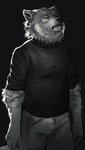 anthro black_clothing black_nose black_topwear bottomwear clothed clothing fluffy fur grey_body grey_bottomwear grey_clothing grey_fur loose_fur male neck_tuft rolled_up_sleeves shedding simple_background solo standing sweater topwear tuft turtleneck sepulte canid canine canis mammal wolf absurd_res hi_res monochrome