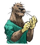 anthro brown_body brown_fur clothing doctor fur gloves grin handwear male medical_gloves putting_on_gloves scrubs simple_background smile solo whiskers white_background aokamidu doctorotter mammal mustelid otter half-length_portrait portrait