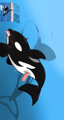 duo eyes_closed female feral genitals male male/female penetration penile penile_penetration penis penis_in_vagina shaking text tongue tongue_out trembling vaginal vaginal_penetration anonymous_artist aquatic cetacean dolphin mammal oceanic_dolphin orca toothed_whale whale hi_res