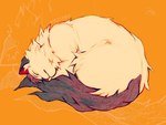 ambiguous_gender brown_body brown_fur curled_up eyes_closed feral fur head_tuft inner_ear_fluff lying neck_tuft pink_nose simple_background sleeping solo tuft white_body white_fur ursiday domestic_cat felid feline felis mammal 4:3 female_(lore)