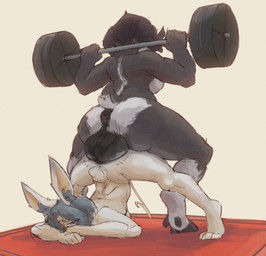 anal anal_penetration anthro anus backsack balls barbell barbell_squats big_balls big_butt big_ears black_balls black_hair bodily_fluids breasts butt cum duo ejaculation exercise fur genital_fluids genitals grey_body grey_fur gynomorph gynomorph/gynomorph gynomorph_penetrated gynomorph_penetrating gynomorph_penetrating_gynomorph gynomorph_penetrating_intersex hair huge_balls intersex intersex/intersex intersex_penetrated intersex_penetrating intersex_penetrating_gynomorph intersex_penetrating_intersex multicolored_body multicolored_fur muscular muscular_anthro muscular_gynomorph muscular_intersex penetration puffy_anus sex tail two_tone_body two_tone_fur weightlifting white_body white_fur workout workout_sex sintet6 stella_(leodamodeler) tsugumi bovid caprine goat lagomorph leporid mammal rabbit hi_res