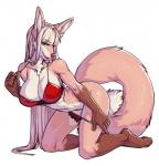 5_fingers anthro barefoot big_breasts biped bra breasts brown_body brown_fur brown_nose cleavage clothed clothing feet female fingers fur hair hindpaw kneeling long_hair looking_at_viewer navel open_mouth paws simple_background smile solo toes tongue underwear white_background white_hair yellow_eyes gurugano loyse canid canine fennec_fox fox mammal true_fox 2018 digital_media_(artwork)