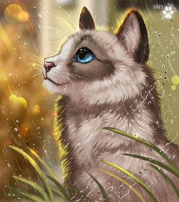 ambiguous_gender blue_eyes feral raining smile solo whiskers flashw domestic_cat felid feline felis mammal 2021 digital_media_(artwork)