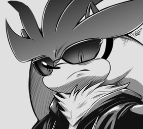 anthro closed_frown clothed clothing countershading eyewear frown fur glistening glistening_nose grey_background hair jacket long_nose male mouth_closed neck_tuft pupils quills_(anatomy) simple_background solo sunglasses text topwear tuft conditional_dnp digitaldomain123 sega sonic_the_hedgehog_(series) silver_the_hedgehog eulipotyphlan hedgehog mammal 2026 absurd_res artist_name greyscale hi_res monochrome signature