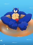 5_toes abs anthro barefoot blue_body blue_fur clothing feet foot_focus fur green_eyes humanoid_feet male muscular muscular_anthro muscular_male plantigrade soles solo speedo swimwear toes masutaa sega sonic_the_hedgehog_(series) sonic_the_hedgehog eulipotyphlan hedgehog mammal hi_res