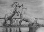 ambiguous_gender duo feral fight fur hair outside reflection sky water wet wet_body wet_fur bra1neater equid equine horse mammal 2016 hi_res monochrome sketch traditional_media_(artwork)