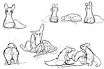 anal anal_penetration animal_genitalia animal_penis anus balls big_butt big_penis butt empty_eyes feral fur genitals group huge_penis hyper hyper_genitalia hyper_penis knot knotted_penis knotting male male/male oral oral_penetration penetration penis side_view simple_background sleeping solo tail thick_thighs tired trio white_background tluckyl rain_world videocult spearmaster_(rain_world) survivor_(rain_world) mammal slugcat 2025 3:2 monochrome