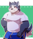 anthro biped black_nose blush bulge clothing grey_body humanoid_hands kemono male shirt solo topwear underwear green_bell canid canine canis domestic_dog mammal 2023 absurd_res hi_res