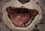 anthro bodily_fluids brown_body brown_fur duo extreme_size_difference fur gold_(metal) gold_tooth macro male male/male micro pink_mouth saliva size_difference uvula vore yellow_body yellow_fur iwbsb_kuma mihoyo zenless_zone_zero ben_bigger bear canid mammal hi_res