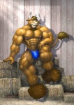 abs anthro barn biceps big_muscles blue_clothing blue_swimwear clothed clothing cloven_hooves hay hay_bale hooves horn huge_muscles male muscular muscular_anthro muscular_male nipples pecs pose solo speedo swimwear tail topless vein braford sacred bovid bovine cattle mammal