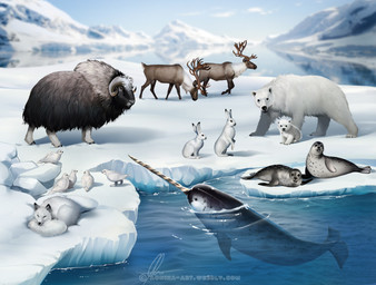 ambiguous_gender antlers beak black_beak black_body black_claws black_ears black_eyes black_fur black_hooves black_lips black_nose black_skin blue_sky brown_antlers brown_body brown_eyes brown_fur claws cloud curled_horn curled_up day detailed_background dipstick_ears ear_markings eyes_closed feathered_wings feathers feral flippers fluffy fluffy_tail flukes folded_wings fur glistening grey_body grey_fur grey_skin group hooves horn ice inner_ear_fluff lips long_fur looking_at_another looking_at_viewer lying markings monotone_body monotone_feathers monotone_fur mountain multicolored_body multicolored_ears multicolored_fur multicolored_skin on_front on_hind_legs on_side open_mouth outside partially_submerged quadruped reflection rock short_tail sitting sky sleeping snow spots spotted_body spotted_skin standing striped_horn stripes tail text toe_claws tuft tusks two_tone_ears walking water water_reflection whiskers white_body white_ears white_feathers white_fur white_horn white_skin wings young young_feral aomori aquatic arctic_fox arctic_hare avian bear bird bovid canid canine caprine cetacean deer fox galliform grouse hare lagomorph leporid mammal monodontid muskox narwhal new_world_deer phasianid pinniped polar_bear ptarmigan reindeer rock_ptarmigan seal toothed_whale true_fox ursine 2020 digital_media_(artwork) url