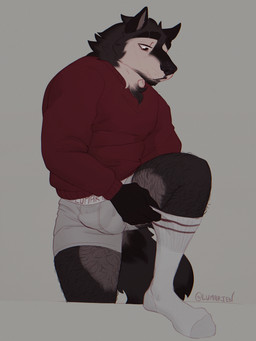 anthro balls_outline beard bottomwear bulge chest_tuft clothed clothing detailed_bulge dressing_up facial_hair footwear fur genital_outline hairy_legs male musclegut muscular penis_outline simple_background socks solo tail topwear tuft underwear lumarten lucas_(lumarten) canid canine canis mammal wolf absurd_res digital_media_(artwork) hi_res