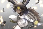 black_hair bottomwear breasts clothed clothing feathers female gloves hair handwear skirt solo adeshi0693119 kemono_friends northern_goshawk_(kemono_friends) animal_humanoid avian avian_humanoid bird_humanoid humanoid hi_res