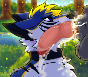 anthro blue_body blue_eyes blue_fur bodily_fluids collar cum cum_on_chest deep_throat duo excessive_cum excessive_genital_fluids fellatio forest fur genital_fluids genitals grey_body grey_fur internal internal_oral knot knotted_penis knotting lake male male/male oral oral_knotting oral_penetration penetration penile penis plant sex tongue tree water artywolf bluefiger digitfox canid canine canis mammal wolf hi_res