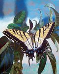 ambiguous_gender antennae_(anatomy) blurred_background feral leaf outside plant realistic rear_view solo wings theyfox arthropod butterfly insect lepidopteran swallowtail_butterfly hi_res oil_painting_(artwork) painting_(artwork) traditional_media_(artwork)