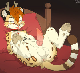 animal_genitalia animal_penis anthro anus balls bed collar feline_genitalia feline_penis furniture genitals hair hooves horn looking_at_viewer lying male on_back penis solo spiked_penis spikes spikes_(anatomy) spread_legs spreading tongue tongue_out whyvern quipper deer felid feline hybrid leopardus mammal ocelot absurd_res hi_res