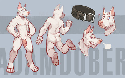 angry anthro backsack balls biped blue_eyes bodily_fluids breath butt circumcised clenched_teeth collar flaccid flying_sweatdrops front_view fur genitals grey_background hands_on_hips happy humanoid_genitalia humanoid_penis jumping male midair multiple_poses muscular muscular_anthro muscular_male nude penis pose side_view simple_background solo standing surprised sweat sweatdrop teeth text text_background three-quarter_view white_body white_fur worried redic-nomad adamdober canid canine canis dobermann domestic_dog mammal pinscher 16:10 digital_media_(artwork) digital_painting_(artwork) full-length_portrait headshot_portrait model_sheet painting_(artwork) portrait widescreen