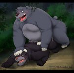 anthro anthro_on_feral belly bestiality big_belly black_bars bodily_fluids butt cum duo feral genital_fluids heart_eyes heart_symbol kemono male male/male melanistic open_mouth outside overweight overweight_male sex uvula 96panda the_jungle_book bagheera_(jungle_book) baloo bear felid mammal pantherine sloth_bear ursine 2022 absurd_res hi_res letterbox