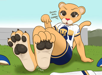 4_toes 5_fingers anthro barefoot bedroom_eyes black_pawpads bodily_fluids brown_eyes claws clothing crossed_legs curling_toes feet female fingers foot_focus football_field football_gear footwear fur grass lightened_soles looking_at_viewer mascot narrowed_eyes orange_body orange_fur pawpads paws plant red_nose seductive shoes soccer_uniform socks soles solo sportswear sweat sweatdrop talking_to_viewer text toe_claws toes uniform wrinkled_feet wrinkles mr_fuwa club_universidad_nacional dhl liga_mx goya_(pumas_unam) felid feline lion mammal pantherine absurd_res hi_res spanish_text translated