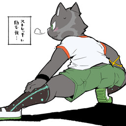 anthro black_clothing black_footwear black_socks blush bodily_fluids bottomwear clothing embarrassed footwear fur green_bottomwear green_clothing green_eyes green_shorts grey_body grey_fur happy male shirt shorts simple_background socks solo spread_legs spreading stretching_leg sweat tailless text tiptoes topwear white_background white_clothing white_footwear white_shirt white_topwear moesouna_gomi ringula domestic_cat felid feline felis mammal 1:1 2026 japanese_text translated