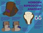 animal_genitalia anthro balls canine_penis_tongue cloaca erection genitals intersex knot maleherm masturbation penile penile_masturbation penis penis_tongue pussy sheath solo tail text thick_tail unusual_anatomy unusual_genitalia_placement unusual_penis_placement tokon_(artist) horboen mammal english_text hi_res