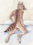 5_toes anthro athletic athletic_anthro athletic_male back_muscles backsack balls bed biped brown_body brown_fur brown_markings brown_spots brown_tail butt claws eye_markings facial_markings feet flaccid foreskin frown fur furniture genitals grey_claws grey_eyes hand_on_leg head_markings hindpaw humanoid_genitalia humanoid_hands humanoid_penis inner_ear_fluff kneeling light looking_back male markings multicolored_body multicolored_fur nude on_bed pawpads paws penis perineum pillow pink_nose rear_view ring_(marking) ringed_tail saggy_balls shadow snout solo spots spotted_body spotted_fur striped_markings striped_tail stripes tail tail_markings tan_balls tan_body tan_fur tan_pawpads tan_penis toe_claws toes tuft whiskers white_body white_fur ulos12 cape_genet genet mammal viverrid 2018 full-length_portrait hi_res lighting painting_(artwork) portrait traditional_media_(artwork) traditional_painting_(artwork) traditional_watercolor_(artwork) watercolor_(artwork)