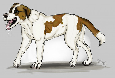 ambiguous_feral ambiguous_gender blue_eyes bodily_fluids brown_body brown_eyes brown_fur brown_tail claws dipstick_tail drooling feral floppy_ears fur grey_background grey_claws grey_pawpads heterochromia markings open_mouth pawpads pink_tongue saliva side_view simple_background solo tail tail_markings tongue tongue_out white_body white_fur white_tail kodaac canid canine canis domestic_dog mammal
