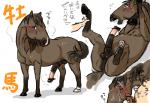 anus balls bestiality cum cum_on_face cumshot denmoko equine erection faceless_male feral gay horse human humanoid_penis interspecies male mammal masturbation nude orgasm penis plain_background white_background
Rating: Explicit
Score: 6
User: arcon45
Date: March 06, 2014