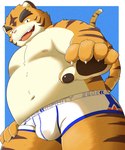 anthro belly bulge clothing humanoid_hands kemono male moobs nipples overweight overweight_male pink_nose simple_background solo underwear 5groo5 felid mammal pantherine tiger 2021 5:6 hi_res