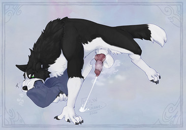 5_fingers anatomically_correct anatomically_correct_genitalia anatomically_correct_penis animal_genitalia animal_penis balls bite black_body black_fur black_nose black_pawpads bodily_fluids border canine_genitalia canine_penis claws countershade_face countershade_torso countershading cum ejaculation feral fingers fur genital_fluids genitals green_eyes growling knot knotted_penis male musk musky_penis onomatopoeia orgasm pawpads paws penis pillow pillow_bite semi-anthro simple_background solo sound_effects squean steam teeth text white_body white_fur ezilyn skuru_(character) border_collie canid canine canis collie domestic_dog herding_dog mammal pastoral_dog sheepdog 2026 digital_drawing_(artwork) digital_media_(artwork) handwritten_text hi_res signature