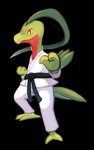 ambiguous_gender anthro belt biped black_belt fighting_pose green_body karate_outfit leaf mouth_closed pose solo standing tail yellow_sclera flavia-elric nintendo pokemon generation_3_pokemon grovyle pokemon_(species) 2016 5:8 absurd_res alpha_channel digital_media_(artwork) hi_res