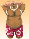 anthro belly brown_body brown_fur clothing eyes_closed fur male moobs navel nipples overweight overweight_anthro overweight_male shirt solo swimwear topwear undressing spazz_bear mammal suid suina sus_(pig) wild_boar 2018 hi_res