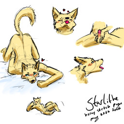 anthro blep blush genitals looking_at_viewer male masturbation penis solo tongue tongue_out touching_penis starlithe gold_evan_shade_(starlithe) canid canine fox mammal 1:1 sketch_page