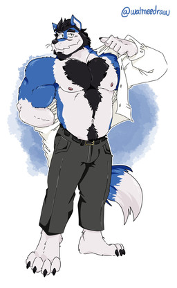 4_toes 5_fingers anthro areola beard belt belt_buckle biceps biped black_beard black_belt black_claws black_eyebrows black_facial_hair black_hair black_nose blue_background blue_body blue_ears blue_fur blue_tail body_hair bottomwear buckle chest_hair claws closed_smile clothed clothing collared_shirt countershade_arms countershade_face countershade_fur countershade_legs countershade_neck countershade_tail countershade_torso countershading deltoids dipstick_tail dress_shirt eyebrows facial_hair facial_scar feet finger_claws fingers fluffy fluffy_tail front_view fur gloves_(marking) green_eyes grey_bottomwear grey_clothing grey_pants hair happy_trail humanoid_feet looking_at_viewer male markings mature_anthro mature_male mouth_closed multicolored_body multicolored_fur musclegut muscular muscular_anthro muscular_arms muscular_male mustache navel nipples pants partially_clothed partially_clothed_anthro partially_clothed_male pecs pink_areola pink_nipples plantigrade raised_eyebrow scar shirt short_hair simple_background smile solo standing tail tail_markings textured_background toe_claws toes topwear triceps two_tone_body two_tone_fur unbuttoned_shirt undressing whisker_spots whiskers white_background white_body white_dress_shirt white_facial_hair white_fur white_inner_ear white_mustache white_tail_tip watmeedraw socially_awkward garth_warrick canid canine canis mammal wolf 2023 digital_media_(artwork) full-length_portrait hi_res portrait signature