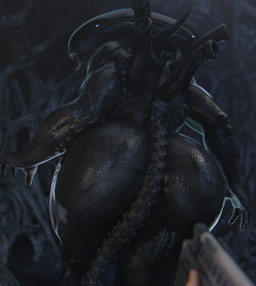 ambiguous_gender anthro big_butt black_body butt claws duo female first_person_view gun huge_butt muscular muscular_female ranged_weapon rear_view sharp_teeth tail teeth thick_thighs weapon wide_hips vensaku nes67911_(modeler) alien_(franchise) alien human mammal xenomorph 3d_(artwork) digital_media_(artwork) hi_res