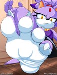 4_toes anthro barefoot claws clothing countershade_feet countershading feet female foot_focus humanoid_feet looking_at_viewer plantigrade soles solo toe_claws toes cornchip21 thesigmaarts sega sonic_the_hedgehog_(series) blaze_the_cat felid feline mammal 3:4 hi_res signature