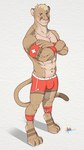 anthro armband clothing cuffs_(clothing) lifeguard lifeguard_swimsuit male solo swimwear apollo_the_cougar_(artist) apollo_the_cougar cougar felid feline mammal 9:16 hi_res