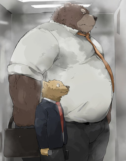 anthro barazoku black_nose bodily_fluids bottomwear brown_body brown_fur clothing duo elevator fur kemono male musk necktie overweight overweight_male pants shirt size_difference sweat topwear moo2 bear canid canine canis domestic_dog mammal 2023 hi_res