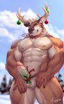 2020 abs absurd_res accessory anthro antlers balls biceps blue_eyes body_hair bottomwear brown_body brown_fur candy cane christmas christmas_ornament clothing dated deer dessert erection evergreen_tree facial_hair food food_in_mouth front_view fur genitals happy_trail hi_res holidays holly_(plant) horn humanoid_genitalia humanoid_penis looking_at_viewer male mammal mistletoe multicolored_body multicolored_fur muscular muscular_anthro muscular_male neck_tuft new_world_deer nipples nude open_mouth outside pecs penis penis_accessory penis_ribbon pine_tree pinup plant portrait pose presenting presenting_penis quads raytig12 reindeer ribbons signature sky snow solo standing teeth three-quarter_portrait tree triceps tuft two_tone_body two_tone_fur white_body white_fur