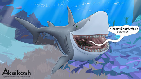 ambiguous_gender anthro anthro_prey duo feet_first feral feral_pred green_eyes grey_body grey_fin grey_tail in_mouth mouth_shot open_mouth oral_vore shark_tail shark_teeth speech_bubble tail text underwater vore water akaikosh discovery_channel shark_week aquatic fish great_white_shark mackerel_shark shark species_request white_shark 2024 english_text watermark
