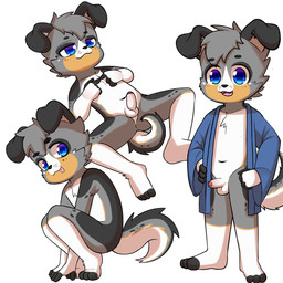 4_fingers 4_toes anthro anus balls biped black_body black_ears black_eyebrows black_fur black_nose black_tail blep blue_clothing blue_eyes blue_robe cheek_tuft chest_tuft clothed clothed_anthro clothed_male clothing crouching erection eyebrow_through_hair eyebrows facial_tuft fangs feet fingerless_(marking) fingerless_gloves_(marking) fingers floppy_ears folded_ears foreskin fur genitals glans glistening glistening_eyes gloves_(marking) grey_body grey_fur grey_hair grey_tail hair hand_on_hip hand_on_own_hip humanoid_genitalia humanoid_penis leg_markings looking_at_viewer lying male markings mismatched_genitalia mismatched_humanoid_penis mismatched_penis mouth_closed multicolored_body multicolored_eyes multicolored_fur multicolored_tail navel on_back open_clothing open_mouth open_robe orange_body orange_fur orange_tail partially_retracted_foreskin penis purple_eyes red_glans robe simple_background socks_(marking) solo standing tail teeth toeless_(marking) toes tongue tongue_out translucent translucent_hair tuft two_tone_eyes white_background white_balls white_body white_fur white_inner_ear white_penis white_tail young young_anthro young_male choki canid canine canis domestic_dog husky mammal nordic_sled_dog spitz 1:1 2026 digital_media_(artwork) hi_res