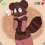 anthro bell bell_collar clothed clothing collar crossdressing femboy fur legwear livestream male pink_collar simple_background solo surprised_expression tail thigh_highs pai_uwu ringtail_(mdc) mammal procyonid raccoon absurd_res hi_res tagme