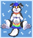 accessory anthro biped black_body black_ears black_fur blep blue_background blue_hair bone border bottomwear boxer_briefs cheek_tuft clothed clothing cute_fangs digitigrade eyebrow_through_hair eyebrows facial_tuft feet floppy_ears foot_focus fur hair inner_ear_fluff kerchief lgbt_pride male markings multicolored_accessory multicolored_body multicolored_boxer_briefs multicolored_clothing multicolored_ears multicolored_fur multicolored_kerchief multicolored_neckerchief multicolored_neckwear multicolored_underwear neckerchief neckwear partially_clothed pawpads presenting_bulge pride_color_accessory pride_color_bandanna pride_color_boxer_briefs pride_color_clothing pride_color_kerchief pride_color_neckerchief pride_color_neckwear pride_color_underwear pride_colors rainbow_clothing rainbow_kerchief rainbow_pride_clothing rainbow_pride_colors rainbow_symbol rainbow_underwear red_eyes simple_background six-stripe_rainbow_pride_colors solo spots spotted_markings spotted_pawpads tongue tongue_out translucent translucent_hair tuft two_tone_body two_tone_ears two_tone_fur underwear white_body white_border white_ears white_fur white_inner_ear yellow_sclera gaokun canid canine canis collie domestic_dog herding_dog mammal pastoral_dog sheepdog 2021 hi_res